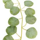 Eukaliptusz leveles girland 190cm