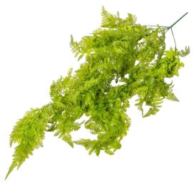 Páfrány futó 5 ágú 75cm