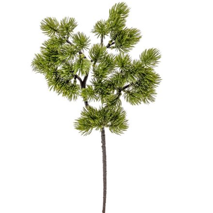 Fenyő ág 35cm