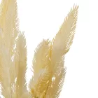 Fenyő bokor fehér 6 ágú 34 cm