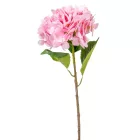 Hortenzia szálas gumi pink 55cm