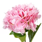 Hortenzia szálas gumi pink 55cm