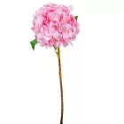 Hortenzia szálas gumi rózsaszín 45cm