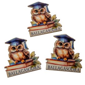   Nyomtatott dekorkarton - Ballagásodra bagoly tábla 7cm 3db-os csomag