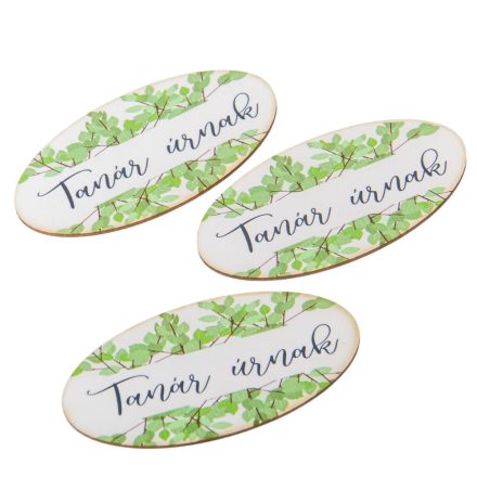 Nyomtatott dekorkarton Tanár úrnak ovál tábla 8cm 3db-os csomag