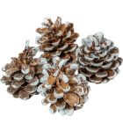 Feketefenyő toboz 1kg havas 100dkg/csom