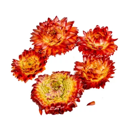 Szalmarózsa fej piros natúr 10dkg/csom