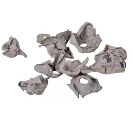 Zem falfestékes szürke 20dkg/csom