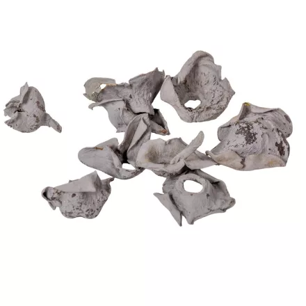 Zem falfestékes szürke 20dkg/csom