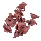 Zem falfestékes szeder 20dkg/csom