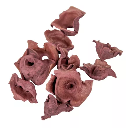 Zem falfestékes szeder 20dkg/csom