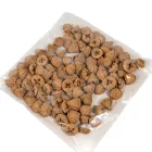 Eukalyptus gomb falfestékes cappuccino 25dkg/csom