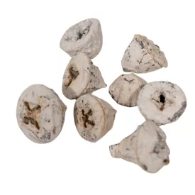 Eukalyptus gomb falfestékes fehér 25dkg/csom