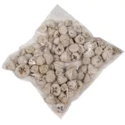 Eukalyptus gomb falfestékes fehér 25dkg/csom