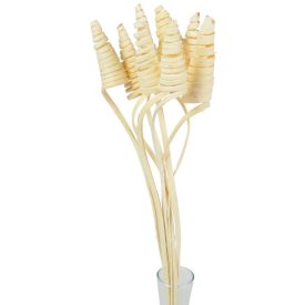 Cane Cone fehérített 7db-os Cane Cone fehérített 7db-os