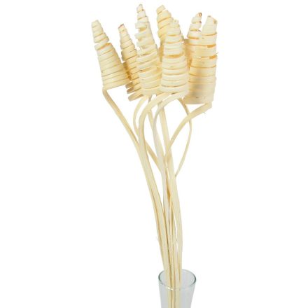 Cane Cone fehérített 7db-os