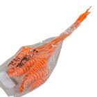 Cane Cone mini feh.narancs 14db-os