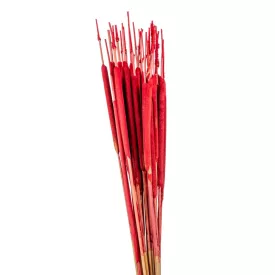 Typha indiai piros 35db-os