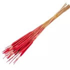 Typha indiai piros 35db-os