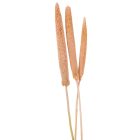 Babala falfestékes rózsaszín 10db-os