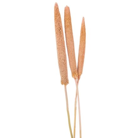 Babala falfestékes rózsaszín 10db-os