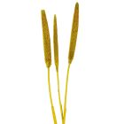 Babala falfestékes olíva 10db-os