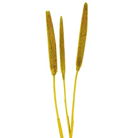 Babala falfestékes olíva 10db-os