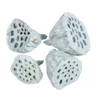Lotus kicsi 4-6cm falfestékes vízkék 12db/csom