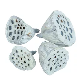 Lotus kicsi 4-6cm falfestékes vízkék 12db/csom