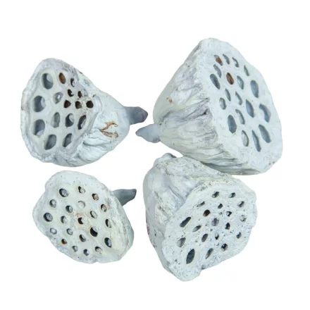 Lotus kicsi 4-6cm falfestékes vízkék 12db/csom