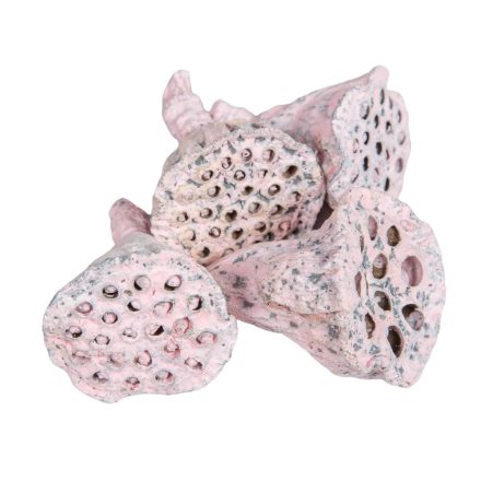 Lotus rózsaszín mini 6dkg/csomag