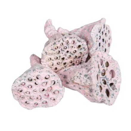 Lotus rózsaszín mini 6dkg/csomag
