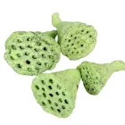 Lotus mini falfestékes világoszöld 5dkg/csom