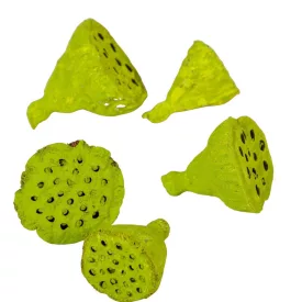 Lotus mini falfestékes olíva 6dkg/csomag