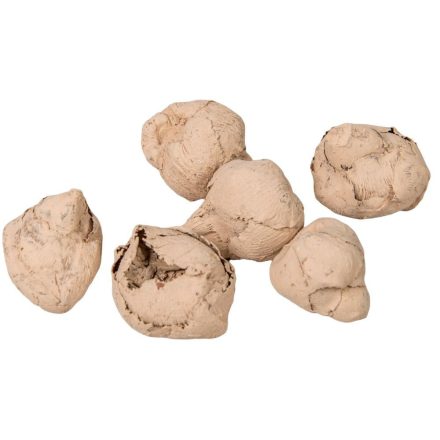 Kókusz mini falfestékes cappuccino 22dkg/csomag