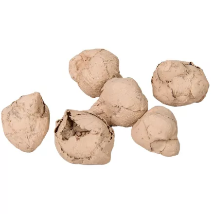 Kókusz mini falfestékes cappuccino 22dkg/csomag