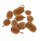 Casuarina natúr 40dkg/csomag