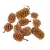 Casuarina natúr 40dkg/csomag