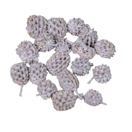 Casuarina falfestékes lila 17dkg/csom