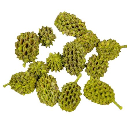 Casuarina falfestékes olíva 17dkg/csom