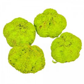 Fokhagyma termés falfestékes halványzöld 11dkg/csom