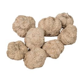 Fokhagyma termés falfestékes cappuccino 11dkg/csomag