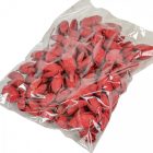 Bakuli falfestékes bordó 16dkg/csomag