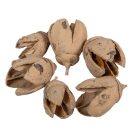 Bakuli falfestékes cappuccino 16dkg/csomag