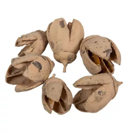 Bakuli falfestékes cappuccino 16dkg/csomag