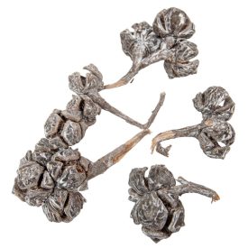 Ciprus fürt zúzmarás 16dkg/csomag