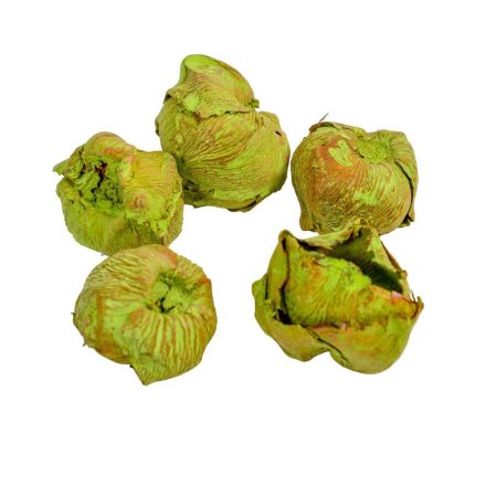 Kókusz mini falfestékes vil. zöld 22dkg/csom