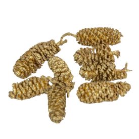 Éger indiai arany 10dkg/csomag