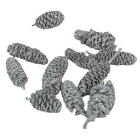 Éger indiai ezüst 10dkg/csom