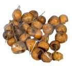 Bell cup mini natúr 33db-os csomag